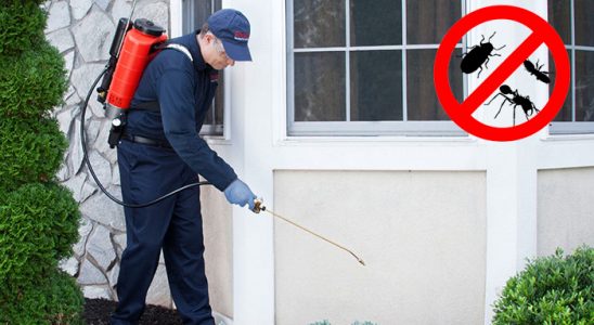 Akçakent Pire İlaçlama böcek ilaçlama ve haşere kontrolü — ilaclama-tr.com